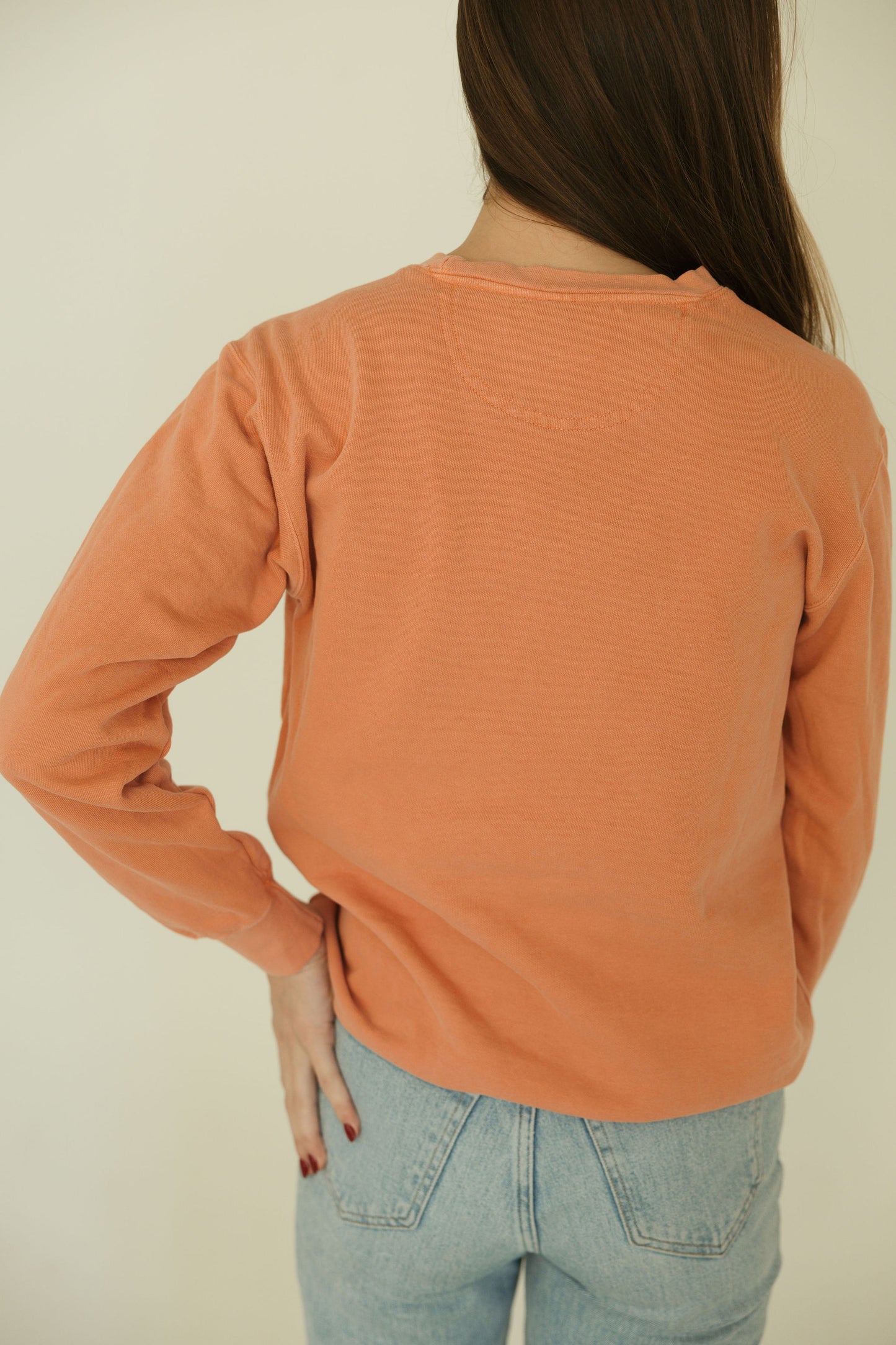 Delight In The Lord Embroidered Crewneck