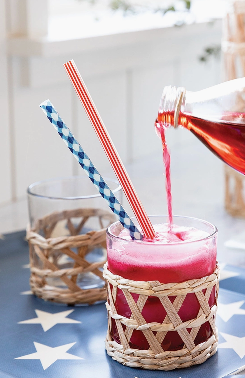 Plaid & Stripes Reuseable Straws
