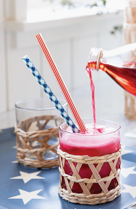 Plaid & Stripes Reuseable Straws