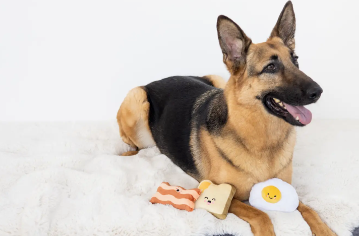 Breakfast Dog Toys