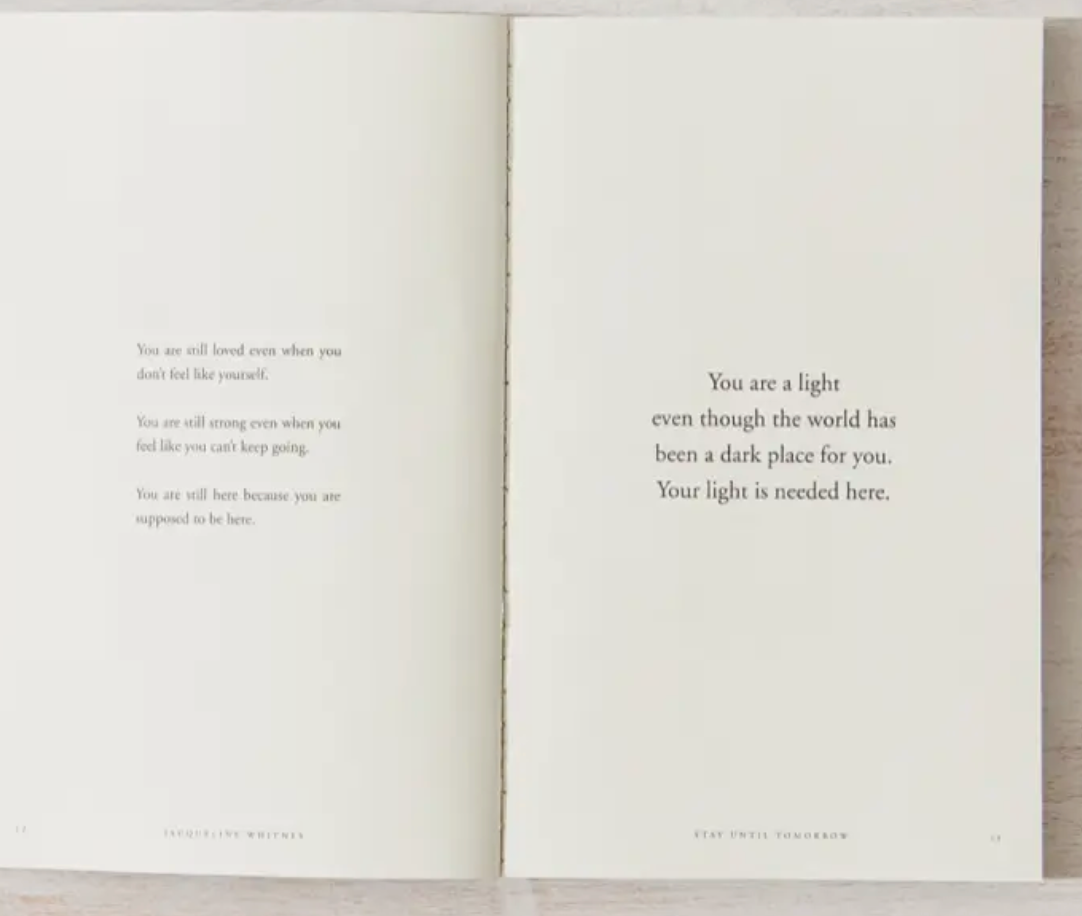 Stay Until Tomorrow Book