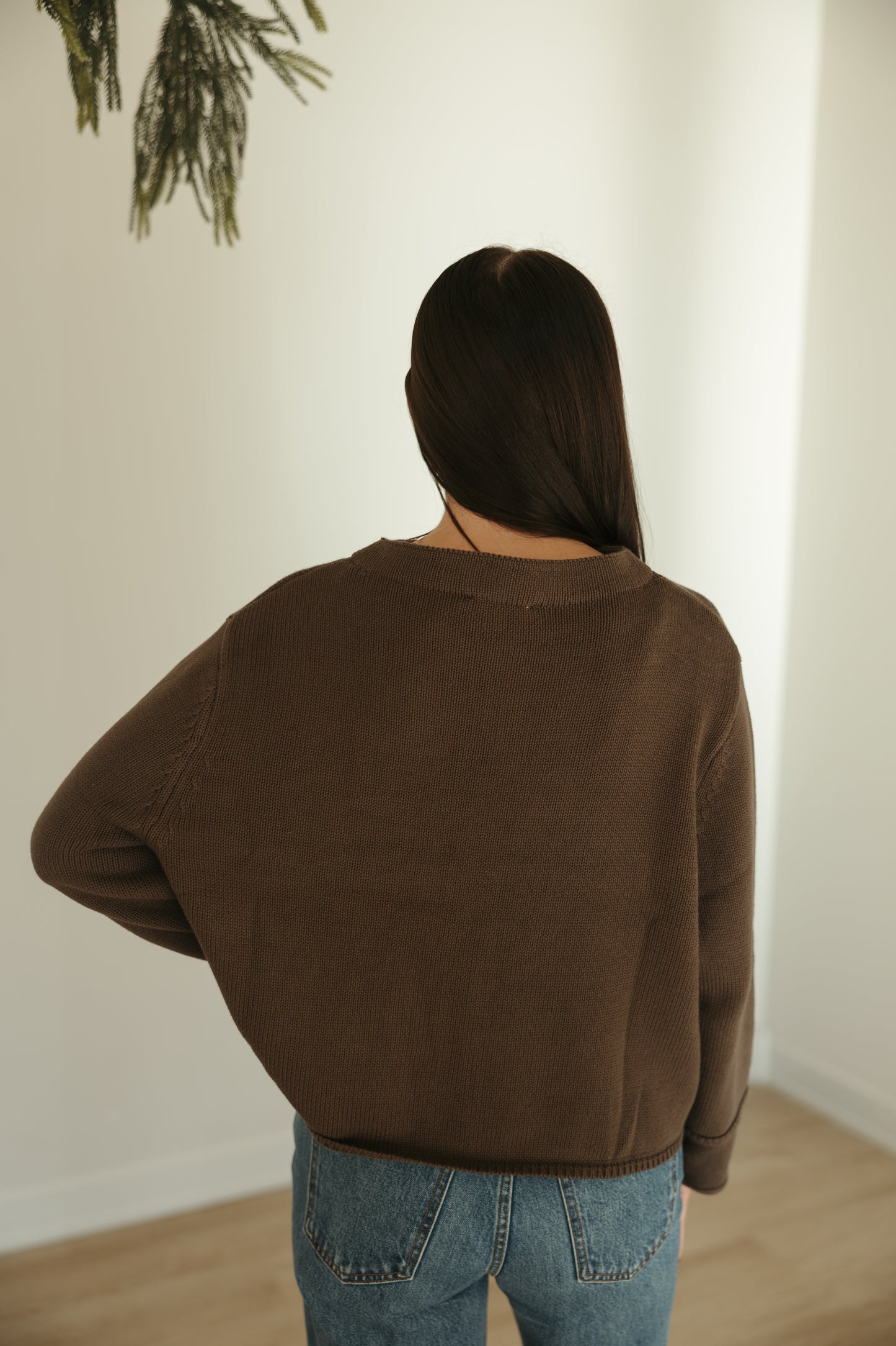 Brown Basic Long Sleeve Sweater