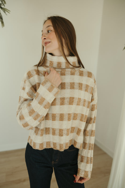 Taupe Multicolor Turtleneck