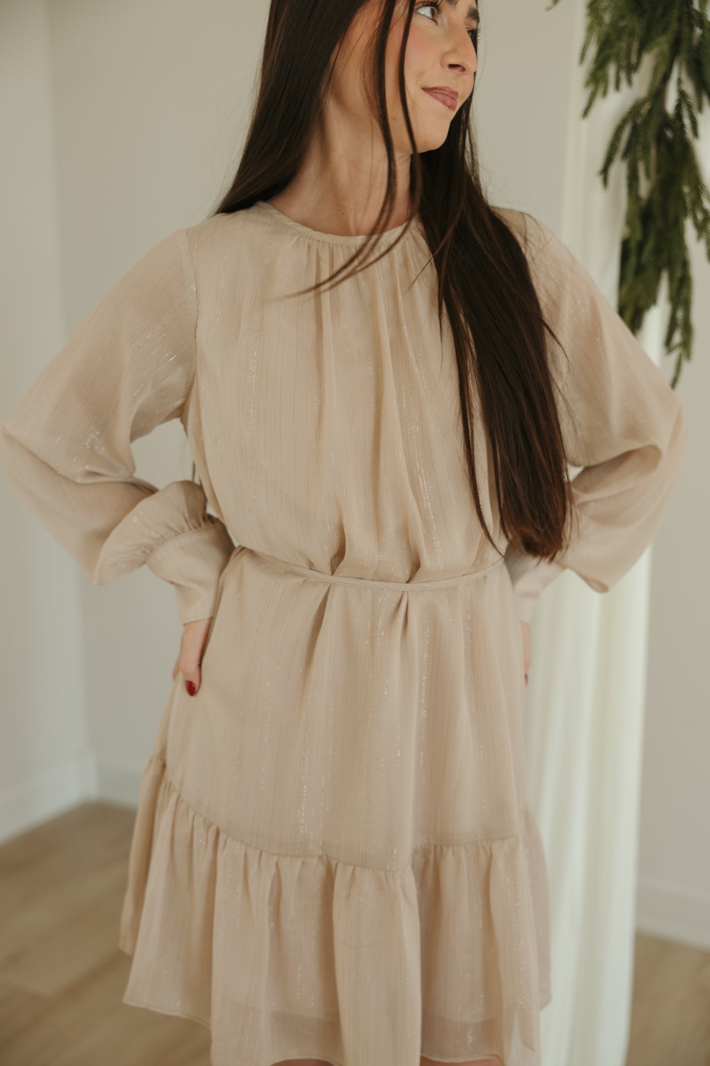 Champagne Cheers Midi Dress