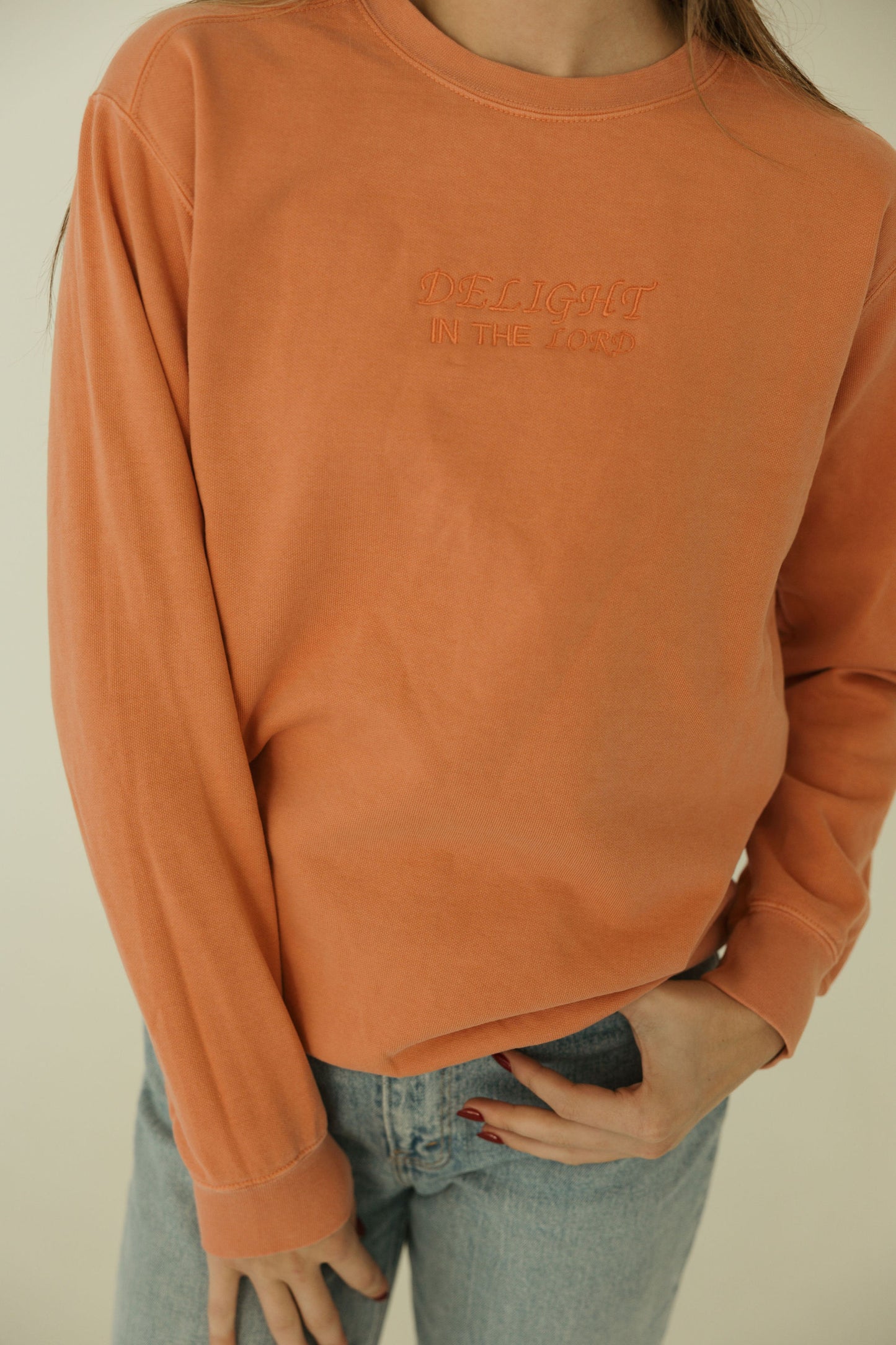 Delight In The Lord Embroidered Crewneck