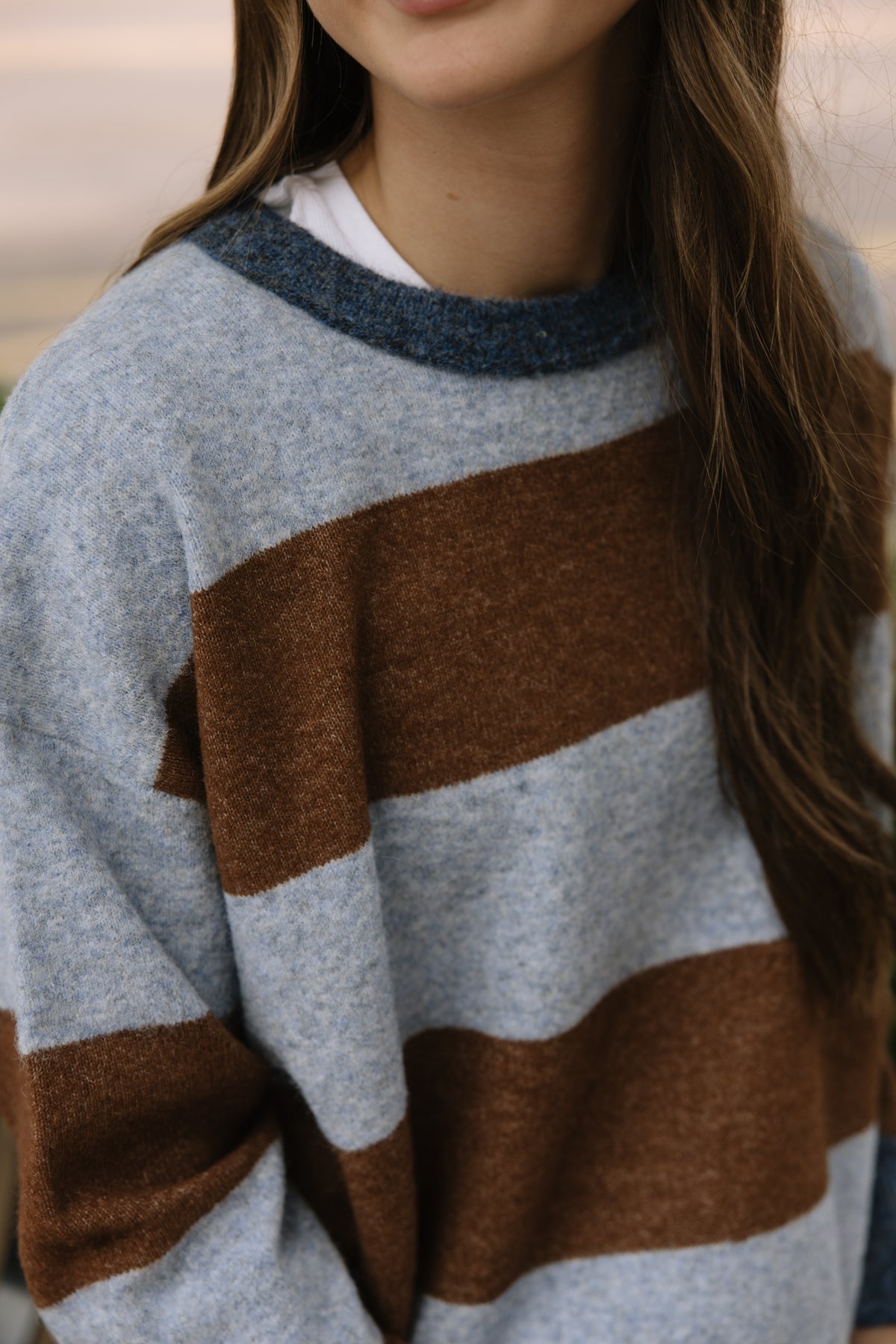 Big Stripe Sweater in Blue & Brown