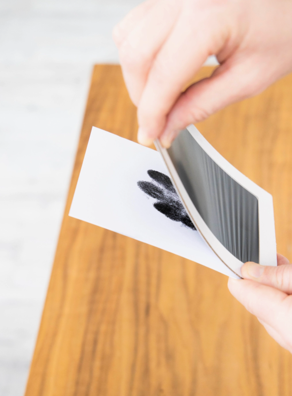 Pet Print Ink Pad