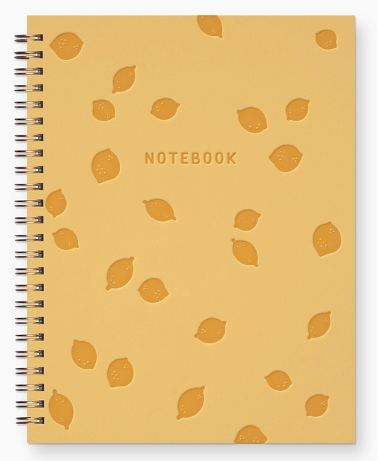 Assorted Journal Notebooks