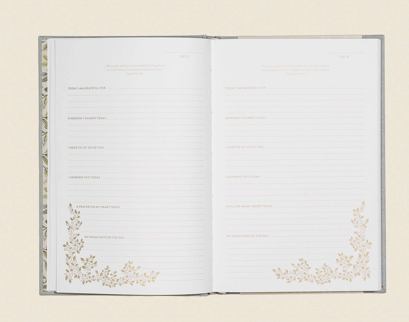 More Than Gratitude Guided Journal