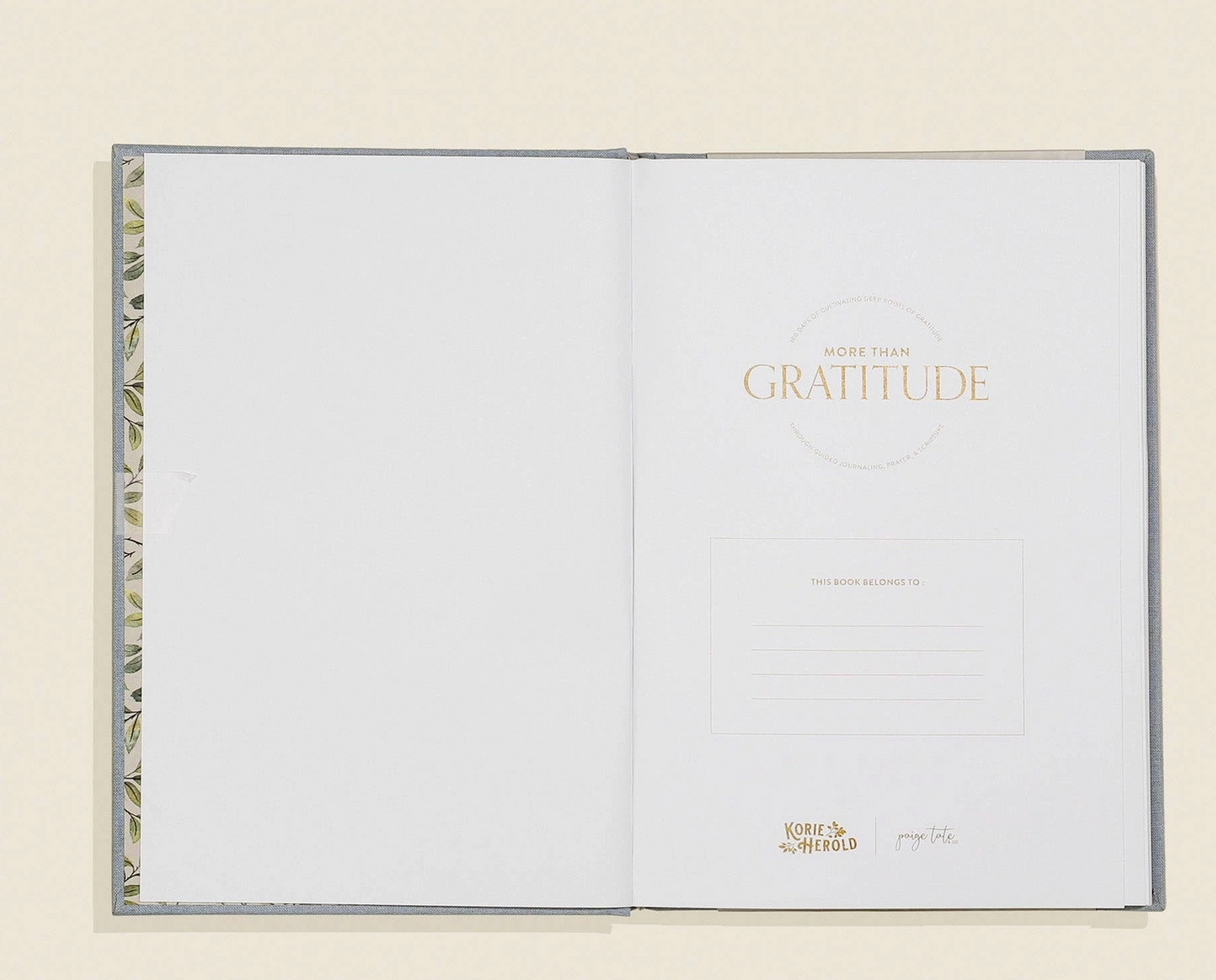 More Than Gratitude Guided Journal