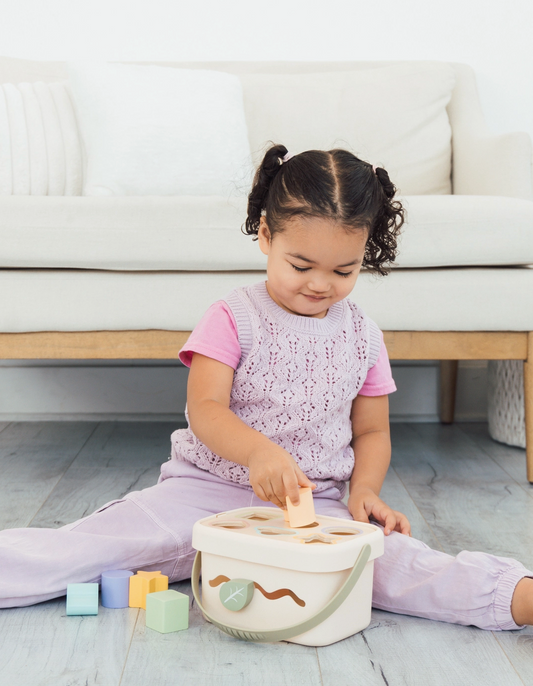 Wooden Shape Sorter Toy