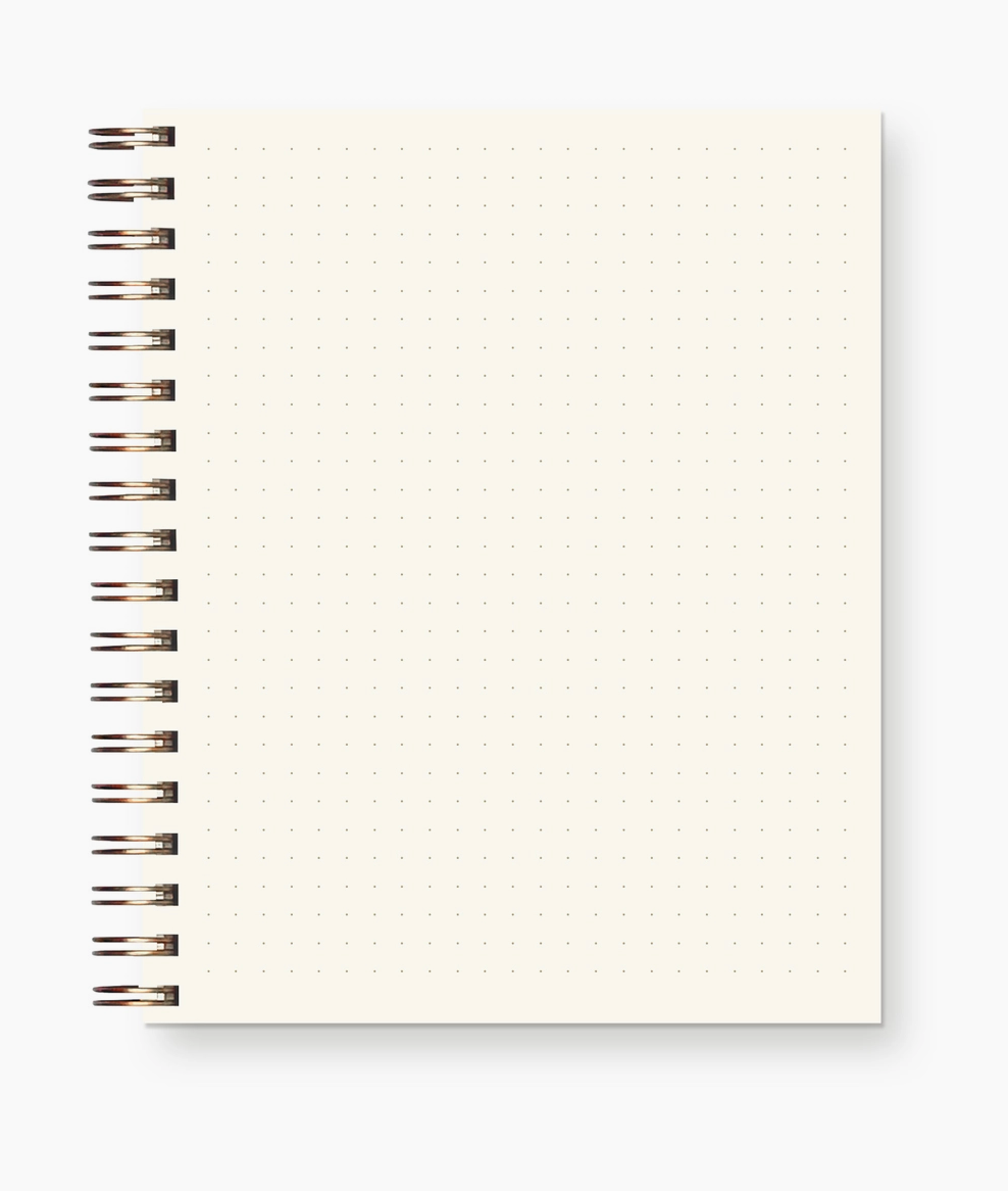 Creative Chaos Dot Grid Notebook