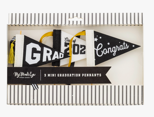 Graduation Felt Banner Set