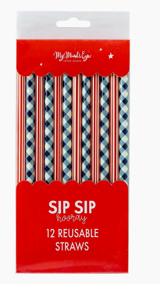 Plaid & Stripes Reuseable Straws