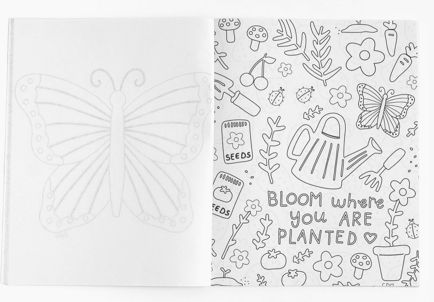 Coloring Books