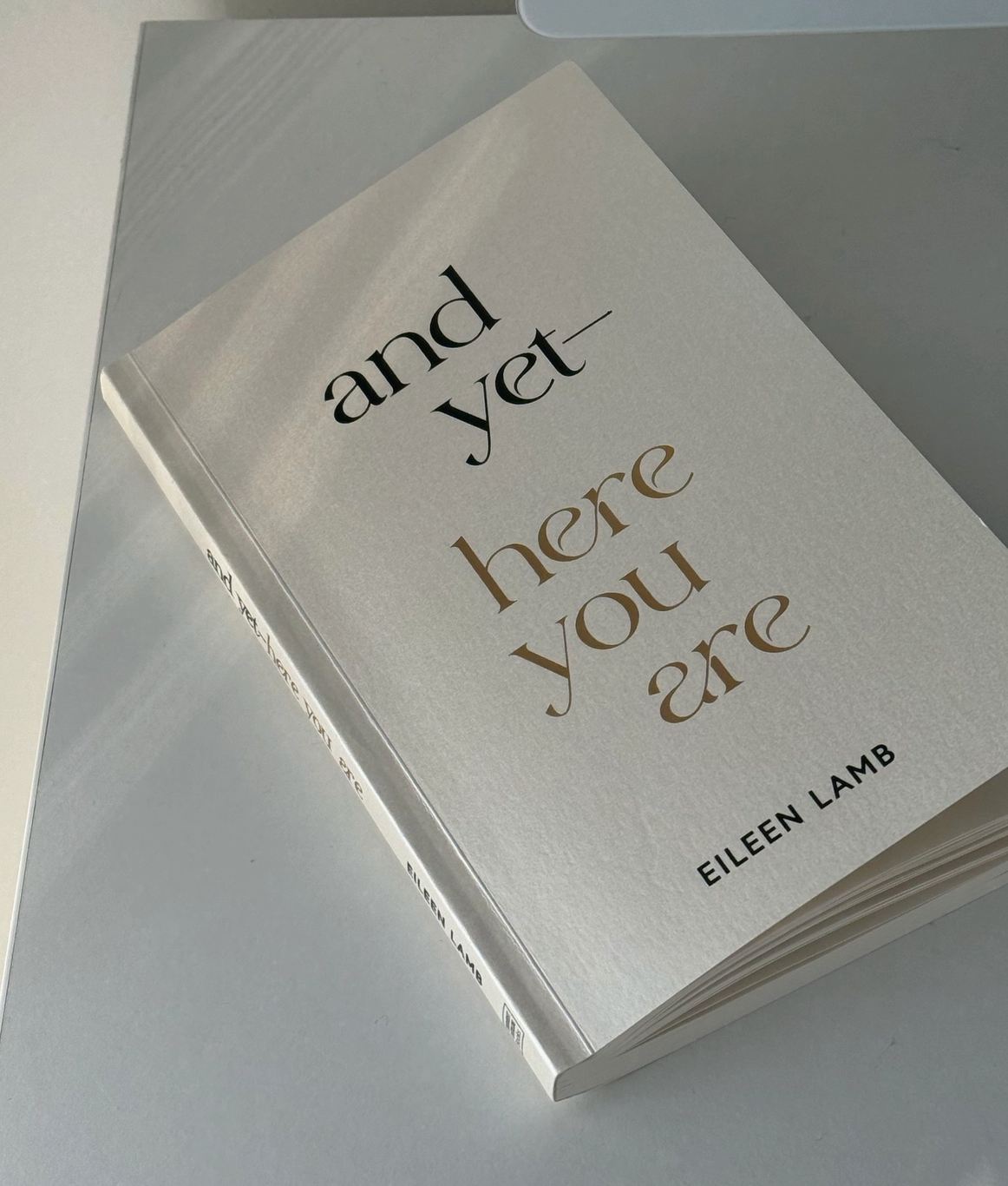 and yet, here you are Book