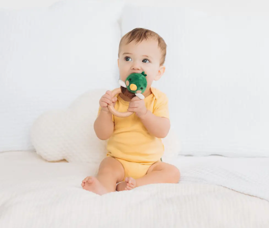 Mallord Duck Teether Ring