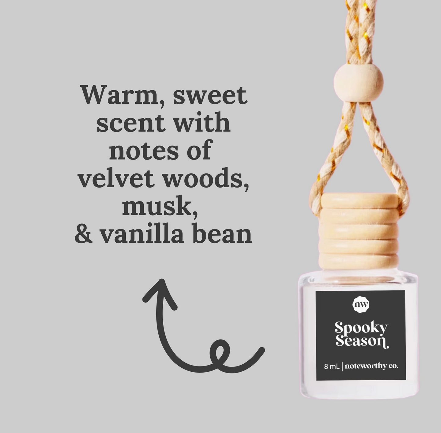 Hanging Car Diffusers