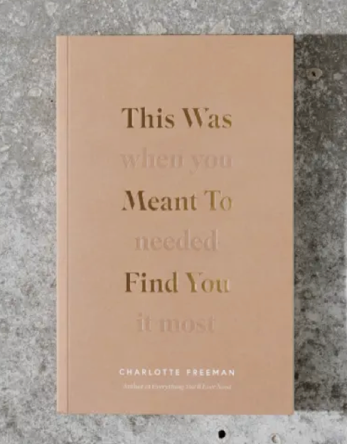 This Was Meant To Find You Book